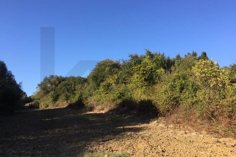 Farm i Alenquer, Lisbon, Alenquer - € 1.500.000 | Ref: KWPT-015114 - foto 8