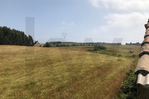 Farm i Alenquer, Lisbon, Alenquer - € 1.500.000 | Ref: KWPT-015114 - foto 10