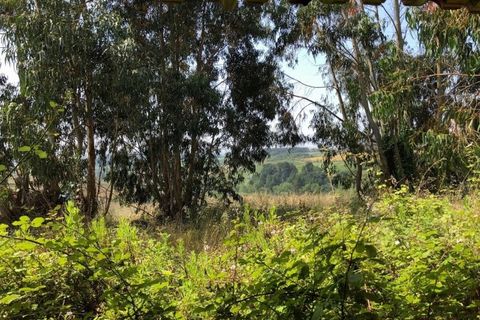 Farm i Alenquer, Lisbon, Alenquer - € 1.500.000 | Ref: KWPT-015114 - foto 11