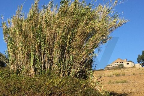 Farm i Alenquer, Lisbon, Alenquer - € 1.500.000 | Ref: KWPT-015114 - foto 12