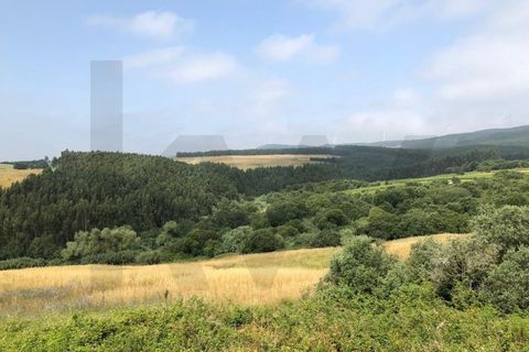 Farm i Alenquer, Lisbon, Alenquer - € 1.500.000 | Ref: KWPT-015114 - foto 13