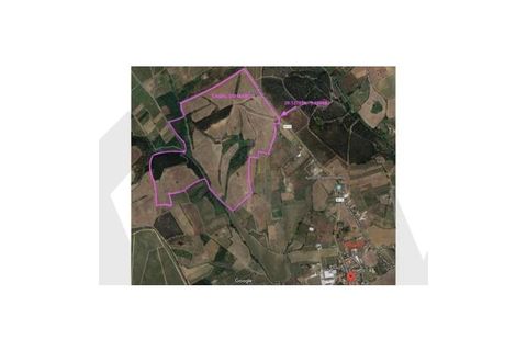 Farm i Alenquer, Lisbon, Alenquer - € 1.500.000 | Ref: KWPT-015114 - foto 14