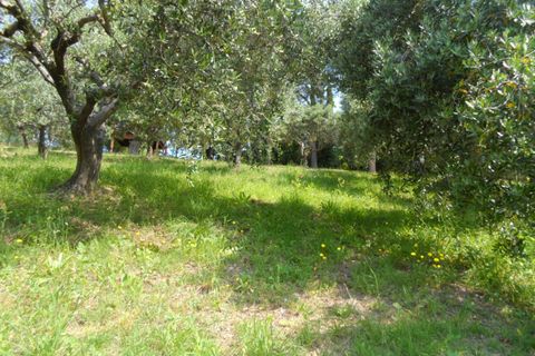 Villa i Colonnella, Teramo, Colonnella - € 300.000 | Ref: cas272 - foto 10