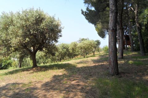 Villa i Colonnella, Teramo, Colonnella - € 300.000 | Ref: cas272 - foto 16