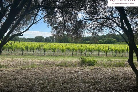 Villa a Fons, Gard, Fons - € 995.000 | Ref: 13_MD002 - foto 15