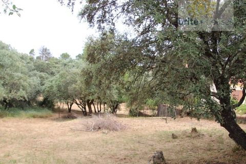 Helårsgrund i Tomar, Santarem, Tomar - € 16.000 | Ref: Tr120 - foto 1