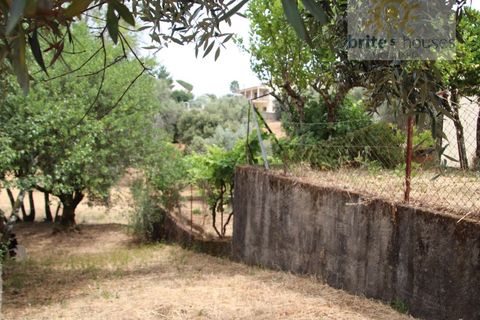 Helårsgrund i Tomar, Santarem, Tomar - € 16.000 | Ref: Tr120 - foto 2