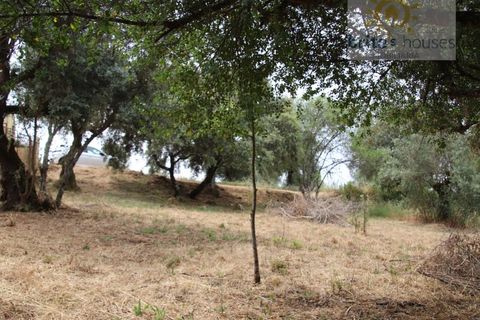 Helårsgrund i Tomar, Santarem, Tomar - € 16.000 | Ref: Tr120 - foto 3