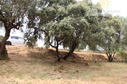 Helårsgrund i Tomar, Santarem, Tomar - € 16.000 | Ref: Tr120 - foto 4