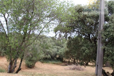 Helårsgrund i Tomar, Santarem, Tomar - € 16.000 | Ref: Tr120 - foto 5