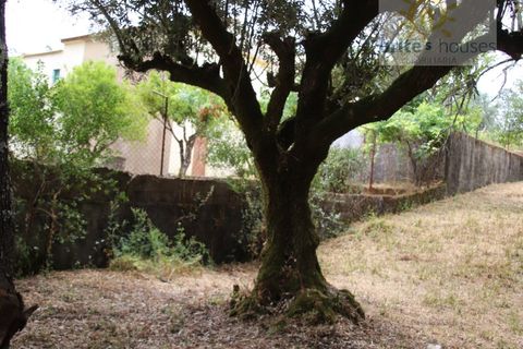 Helårsgrund i Tomar, Santarem, Tomar - € 16.000 | Ref: Tr120 - foto 6