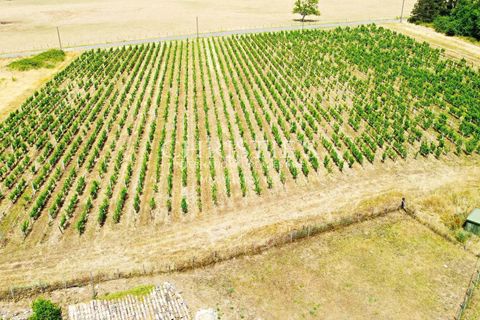 Landejendom i Libourne, Gironde, Libourne - € 500.000 | Ref: XR2015 - foto 25