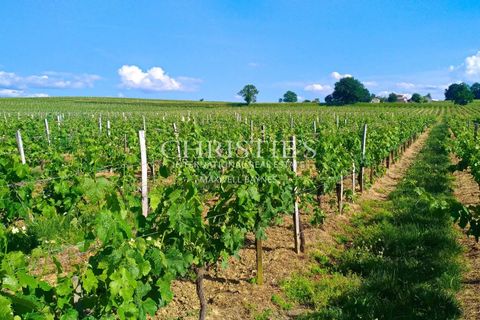 Villa i Blaye, Gironde, Blaye - € 950.000 | Ref: XR1041 - foto 17