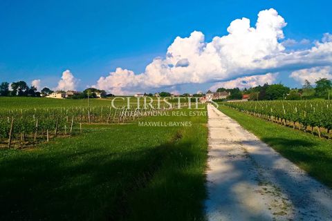 Villa i Blaye, Gironde, Blaye - € 950.000 | Ref: XR1041 - foto 18