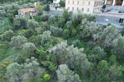 Villa i Ventimiglia, Imperia, Ventimiglia - € 180.000 | Ref: 23364 - foto 5