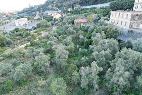 Villa i Ventimiglia, Imperia, Ventimiglia - € 180.000 | Ref: 23364 - foto 6