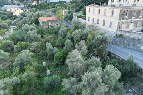 Villa i Ventimiglia, Imperia, Ventimiglia - € 180.000 | Ref: 23364 - foto 8