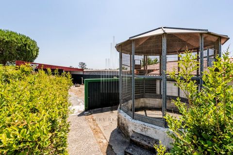 Villa a Coruche, Santarem, Coruche - € 780.000 | Ref: HB0767 - foto 11