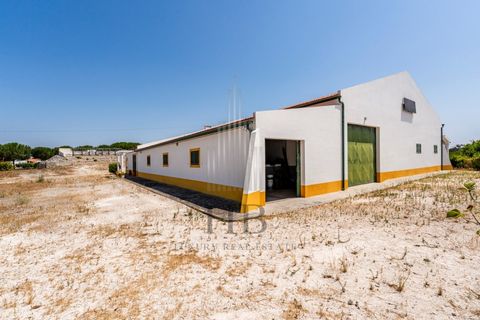 Villa a Coruche, Santarem, Coruche - € 780.000 | Ref: HB0767 - foto 42