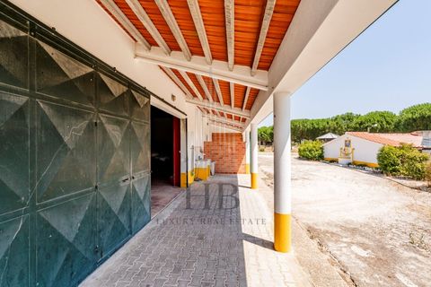 Villa a Coruche, Santarem, Coruche - € 780.000 | Ref: HB0767 - foto 43