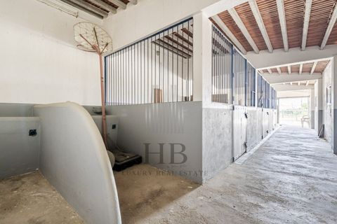 Villa a Coruche, Santarem, Coruche - € 780.000 | Ref: HB0767 - foto 46