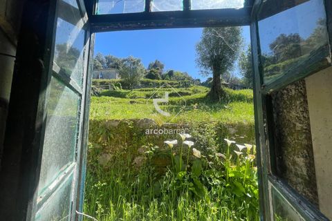 Byhus i Arcos de Valdevez, Viana do Castelo, Arcos de Valdevez - € 150.000 | Ref: AV6336 - foto 8