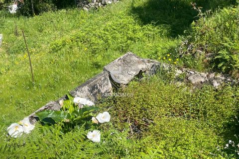 Byhus i Arcos de Valdevez, Viana do Castelo, Arcos de Valdevez - € 150.000 | Ref: AV6336 - foto 20