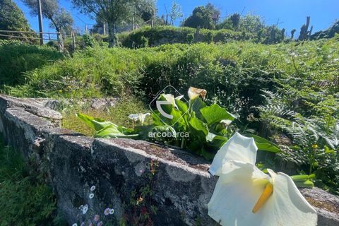 Byhus i Arcos de Valdevez, Viana do Castelo, Arcos de Valdevez - € 150.000 | Ref: AV6336 - foto 22