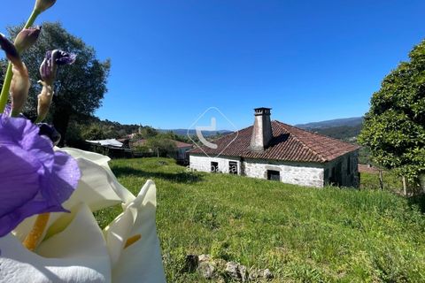 Byhus i Arcos de Valdevez, Viana do Castelo, Arcos de Valdevez - € 150.000 | Ref: AV6336 - foto 29