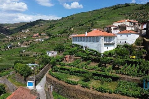Byhus i Peso da Regua, Vila Real, Peso da Regua - € 530.000 | Ref: 96262 - foto 7