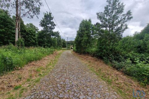 Terra a Ponte de Lima, Viana do Castelo, Ponte de Lima - € 20.000 | Ref: 119264 - foto 5