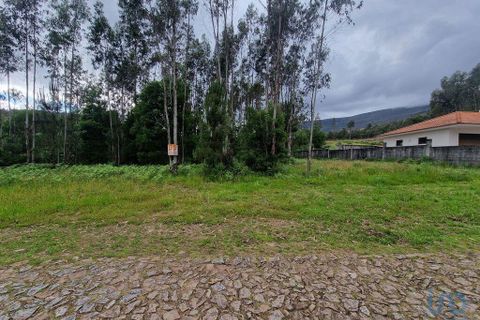 Terra a Ponte de Lima, Viana do Castelo, Ponte de Lima - € 20.000 | Ref: 119264 - foto 6