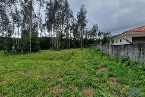 Terra a Ponte de Lima, Viana do Castelo, Ponte de Lima - € 20.000 | Ref: 119264 - foto 7