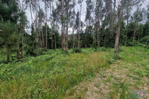 Terra a Ponte de Lima, Viana do Castelo, Ponte de Lima - € 20.000 | Ref: 119264 - foto 9