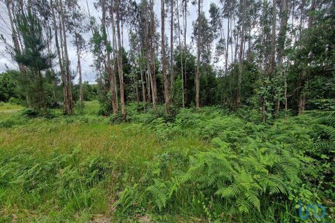 Terra a Ponte de Lima, Viana do Castelo, Ponte de Lima - € 20.000 | Ref: 119264 - foto 11