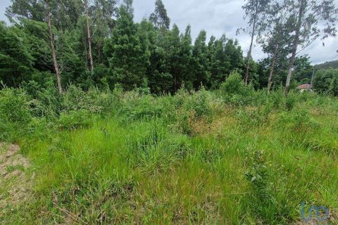 Terra a Ponte de Lima, Viana do Castelo, Ponte de Lima - € 20.000 | Ref: 119264 - foto 12