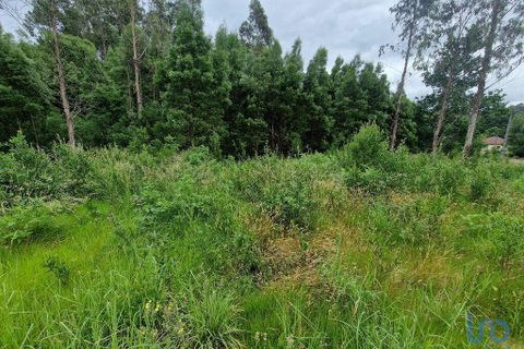 Terra a Ponte de Lima, Viana do Castelo, Ponte de Lima - € 20.000 | Ref: 119264 - foto 13