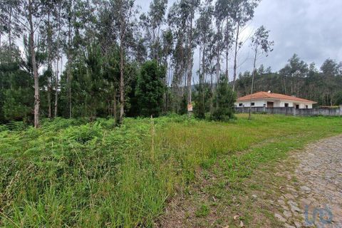 Terra a Ponte de Lima, Viana do Castelo, Ponte de Lima - € 20.000 | Ref: 119264 - foto 14