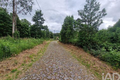 Terra a Ponte de Lima, Viana do Castelo, Ponte de Lima - € 20.000 | Ref: 119264 - foto 16