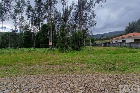 Terra a Ponte de Lima, Viana do Castelo, Ponte de Lima - € 20.000 | Ref: 119264 - foto 18