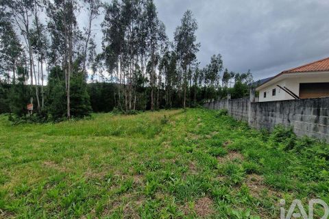 Terra a Ponte de Lima, Viana do Castelo, Ponte de Lima - € 20.000 | Ref: 119264 - foto 19