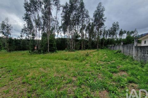 Terra a Ponte de Lima, Viana do Castelo, Ponte de Lima - € 20.000 | Ref: 119264 - foto 20