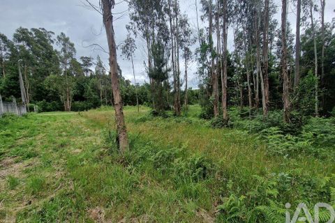 Terra a Ponte de Lima, Viana do Castelo, Ponte de Lima - € 20.000 | Ref: 119264 - foto 22