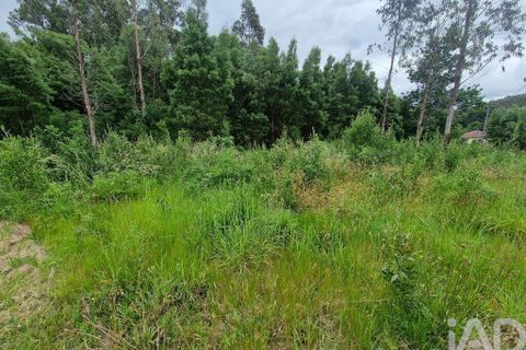 Terra a Ponte de Lima, Viana do Castelo, Ponte de Lima - € 20.000 | Ref: 119264 - foto 24