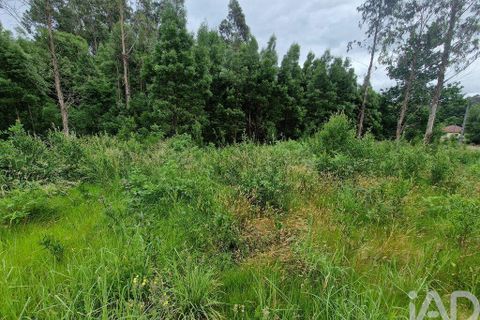 Terra a Ponte de Lima, Viana do Castelo, Ponte de Lima - € 20.000 | Ref: 119264 - foto 25