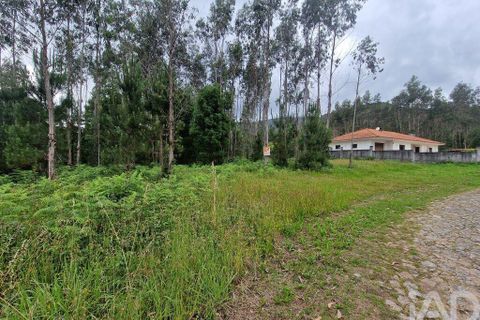 Terra a Ponte de Lima, Viana do Castelo, Ponte de Lima - € 20.000 | Ref: 119264 - foto 26