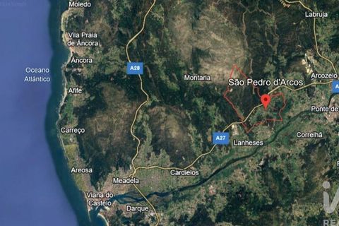 Terra a Ponte de Lima, Viana do Castelo, Ponte de Lima - € 20.000 | Ref: 119264 - foto 28