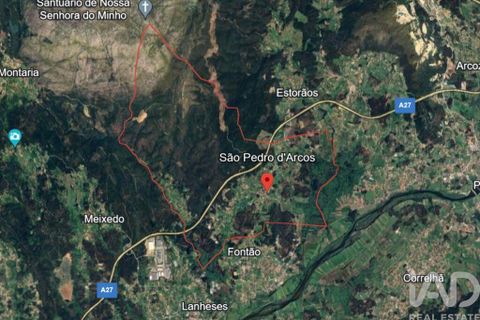 Terra a Ponte de Lima, Viana do Castelo, Ponte de Lima - € 20.000 | Ref: 119264 - foto 29