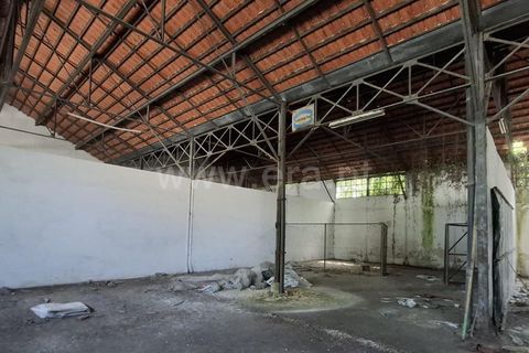 Erhvervsejendom i Tomar, Santarem, Tomar - € 1.850.000 | Ref: 395250049 - foto 3