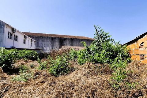 Erhvervsejendom i Tomar, Santarem, Tomar - € 1.850.000 | Ref: 395250049 - foto 9
